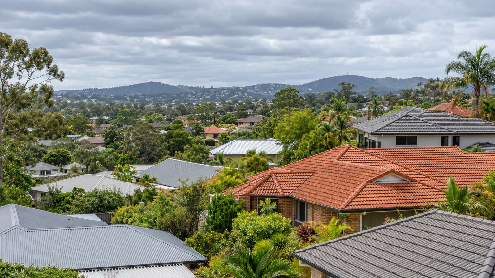 Rooftops across a leafy Brisbane suburb: terracotta tile, grey concrete tile and corrugated metal roofs side by side